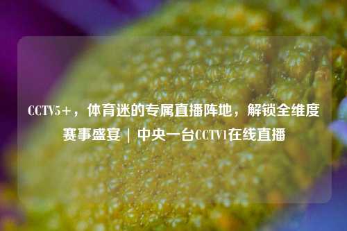 CCTV5+，体育迷的专属直播阵地，解锁全维度赛事盛宴 | 中央一台CCTV1在线直播