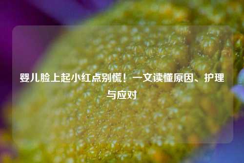婴儿脸上起小红点别慌!一文读懂原因、护理与应对