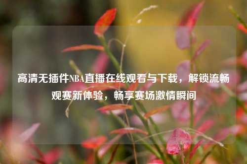 高清无插件NBA直播在线观看与下载，解锁流畅观赛新体验，畅享赛场激情瞬间