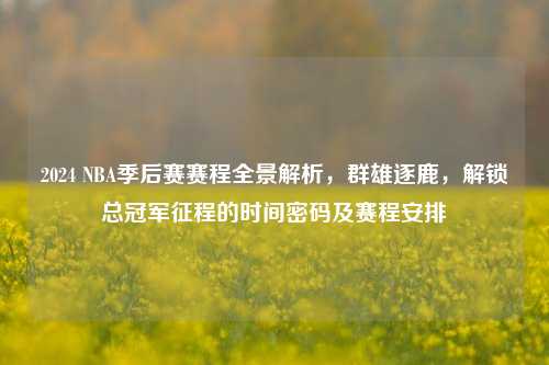 2024 NBA季后赛赛程全景解析,群雄逐鹿,解锁总冠军征程的时间密码及赛程安排