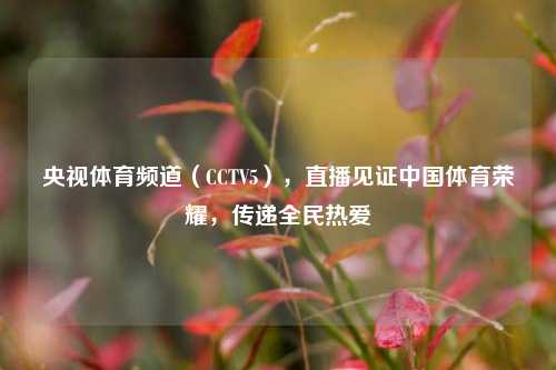 央视体育频道（CCTV5），直播见证中国体育荣耀，传递全民热爱
