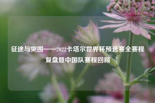 征途与突围——2022卡塔尔世界杯预选赛全赛程复盘暨中国队赛程回顾