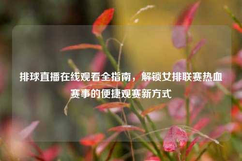 排球直播在线观看全指南，解锁女排联赛热血赛事的便捷观赛新方式