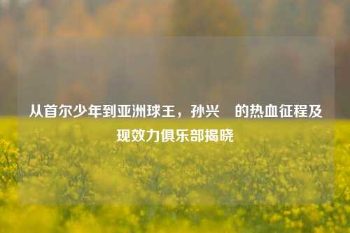 从首尔少年到亚洲球王,孙兴慜的热血征程及现效力俱乐部揭晓