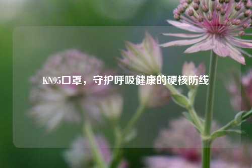 KN95口罩,守护呼吸健康的硬核防线