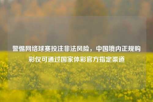 警惕网络球赛投注非法风险,中国境内正规购彩仅可通过国家体彩官方指定渠道
