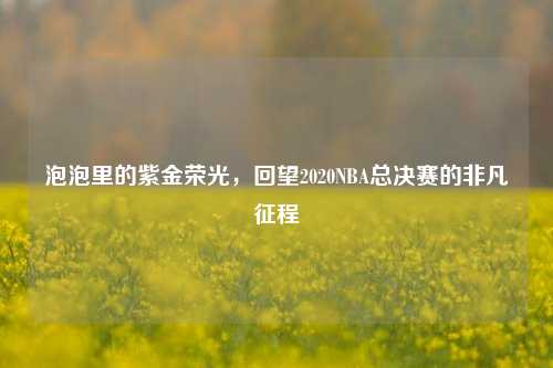 泡泡里的紫金荣光,回望2020NBA总决赛的非凡征程