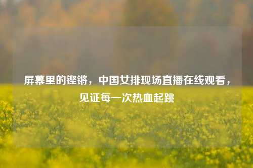 屏幕里的铿锵,中国女排现场直播在线观看,见证每一次热血起跳