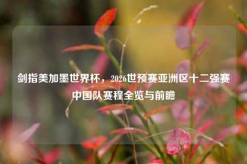 剑指美加墨世界杯,2026世预赛亚洲区十二强赛中国队赛程全览与前瞻