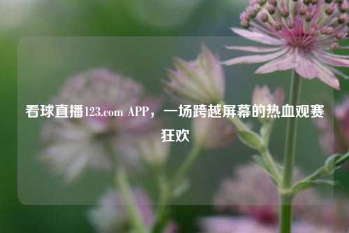 看球直播123.com APP,一场跨越屏幕的热血观赛狂欢