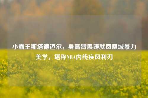 小霸王斯塔德迈尔,身高臂展铸就凤凰城暴力美学,堪称NBA内线疾风利刃