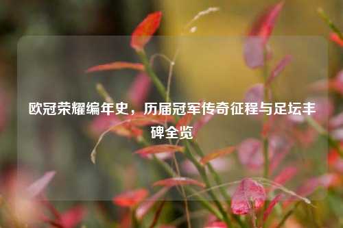 欧冠荣耀编年史,历届冠军传奇征程与足坛丰碑全览