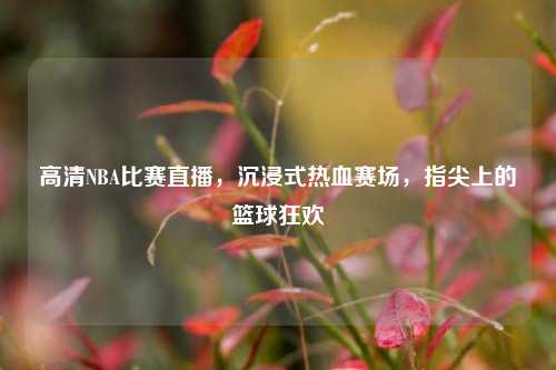 高清NBA比赛直播,沉浸式热血赛场,指尖上的篮球狂欢