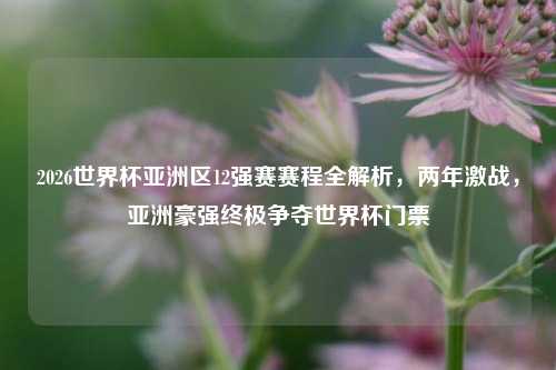 2026世界杯亚洲区12强赛赛程全解析,两年激战,亚洲豪强终极争夺世界杯门票