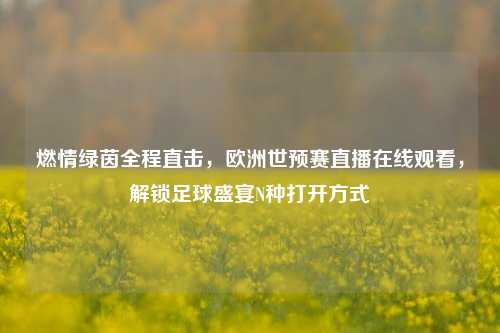 燃情绿茵全程直击，欧洲世预赛直播在线观看，解锁足球盛宴N种打开方式