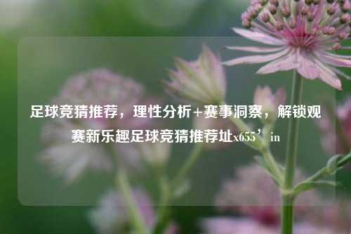 足球竞猜推荐,理性分析+赛事洞察,解锁观赛新乐趣足球竞猜推荐址x655’in