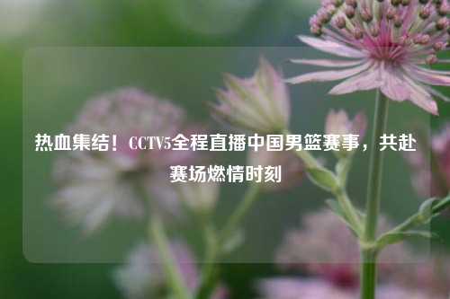热血集结！CCTV5全程直播中国男篮赛事，共赴赛场燃情时刻