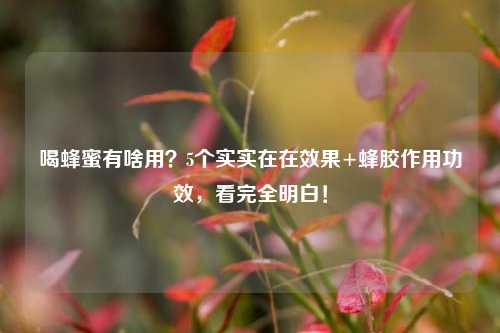 喝蜂蜜有啥用?5个实实在在效果+蜂胶作用功效,看完全明白!