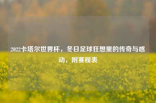 2022卡塔尔世界杯，冬日足球狂想里的传奇与感动，附赛程表