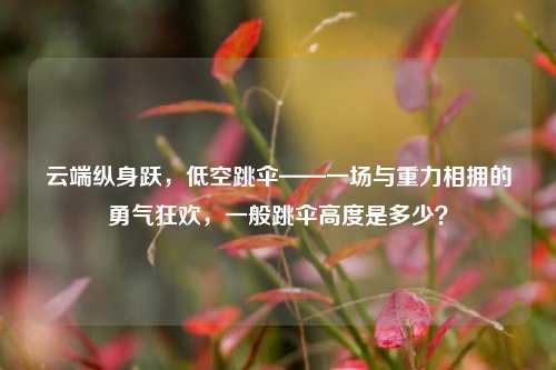 云端纵身跃,低空跳伞——一场与重力相拥的勇气狂欢,一般跳伞高度是多少?