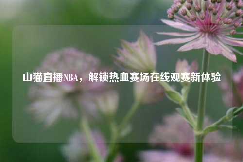 山猫直播NBA,解锁热血赛场在线观赛新体验