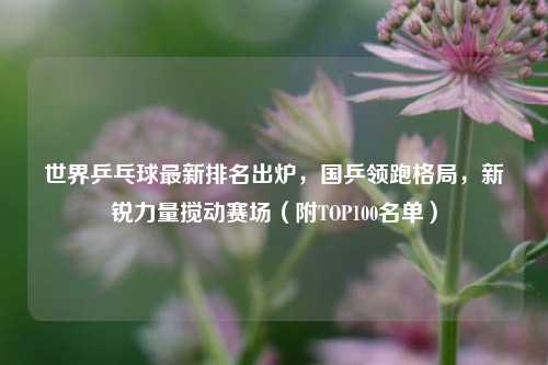 世界乒乓球最新排名出炉,国乒领跑格局,新锐力量搅动赛场(附TOP100名单)