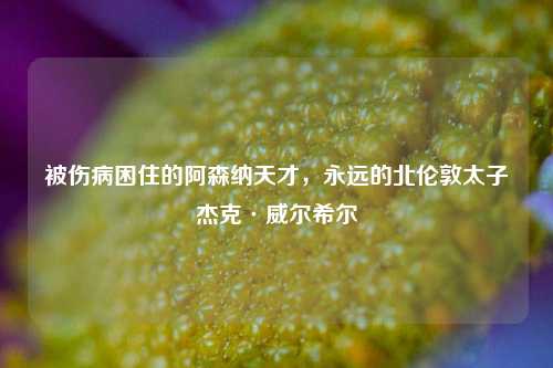 被伤病困住的阿森纳天才,永远的北伦敦太子杰克·威尔希尔