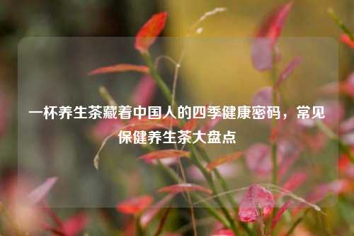 一杯养生茶藏着中国人的四季健康密码,常见保健养生茶大盘点