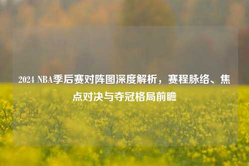 2024 NBA季后赛对阵图深度解析,赛程脉络、焦点对决与夺冠格局前瞻