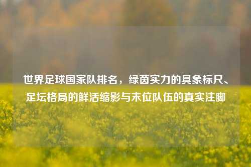 世界足球国家队排名，绿茵实力的具象标尺、足坛格局的鲜活缩影与末位队伍的真实注脚