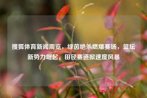 搜狐体育新闻周览,绿茵绝杀燃爆赛场,篮坛新势力崛起,田径赛道掀速度风暴