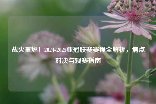 战火重燃！2024-2025亚冠联赛赛程全解析，焦点对决与观赛指南