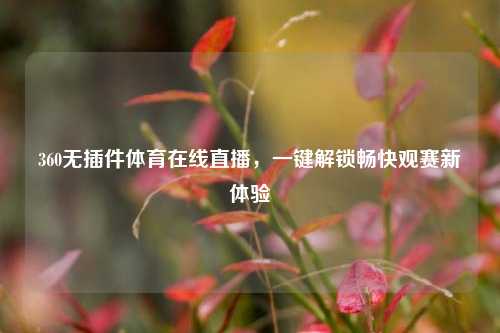 360无插件体育在线直播,一键解锁畅快观赛新体验