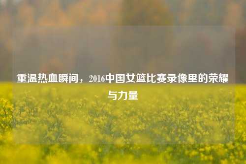 重温热血瞬间,2016中国女篮比赛录像里的荣耀与力量