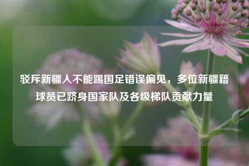 驳斥新疆人不能踢国足错误偏见,多位新疆籍球员已跻身国家队及各级梯队贡献力量