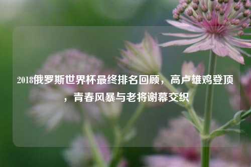 2018俄罗斯世界杯最终排名回顾，高卢雄鸡登顶，青春风暴与老将谢幕交织