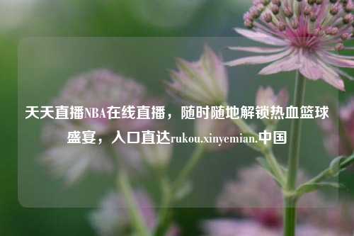 天天直播NBA在线直播，随时随地解锁热血篮球盛宴，入口直达rukou.xinyemian.中国