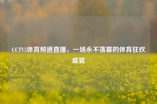 CCTV5体育频道直播,一场永不落幕的体育狂欢盛宴