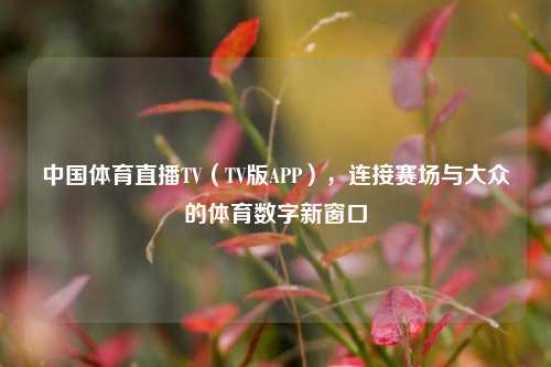 中国体育直播TV(TV版APP),连接赛场与大众的体育数字新窗口
