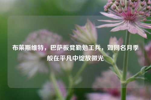 布莱斯维特,巴萨板凳勤勉工兵,如同名月季般在平凡中绽放微光