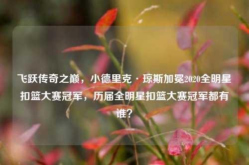 飞跃传奇之巅,小德里克·琼斯加冕2020全明星扣篮大赛冠军,历届全明星扣篮大赛冠军都有谁?