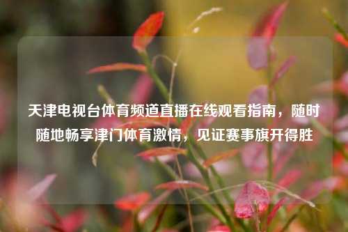 天津电视台体育频道直播在线观看指南，随时随地畅享津门体育激情，见证赛事旗开得胜