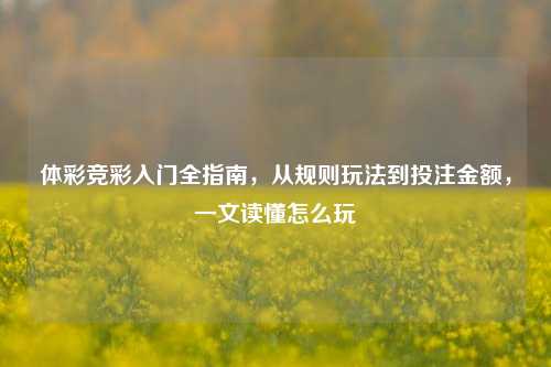 体彩竞彩入门全指南,从规则玩法到投注金额,一文读懂怎么玩