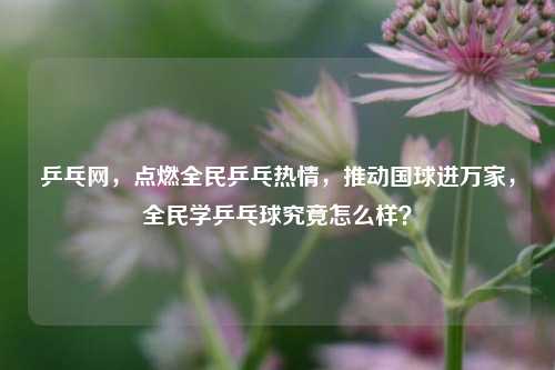 乒乓网,点燃全民乒乓热情,推动国球进万家,全民学乒乓球究竟怎么样?