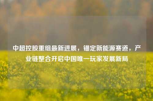 中超控股重组最新进展,锚定新能源赛道,产业链整合开启中国唯一玩家发展新局
