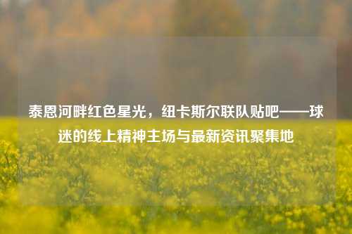 泰恩河畔红色星光,纽卡斯尔联队贴吧——球迷的线上精神主场与最新资讯聚集地