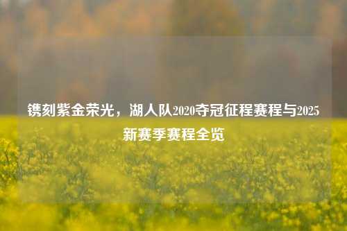 镌刻紫金荣光,湖人队2020夺冠征程赛程与2025新赛季赛程全览