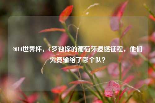 2014世界杯，C罗独撑的葡萄牙遗憾征程，他们究竟输给了哪个队？