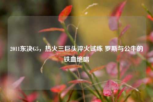 2011东决G5，热火三巨头淬火试炼 罗斯与公牛的铁血绝唱