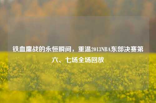 铁血鏖战的永恒瞬间,重温2013NBA东部决赛第六、七场全场回放